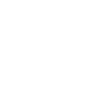 Hamburg Phone Service Repairs